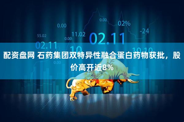 配资盘网 石药集团双特异性融合蛋白药物获批，股价高开近8%